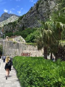 11289530_10206752534189584_1421875581_n