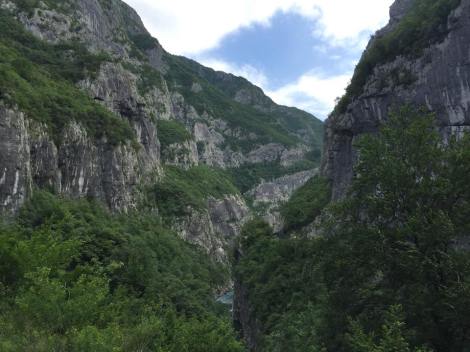 11292729_10206727389440981_1896803272_n