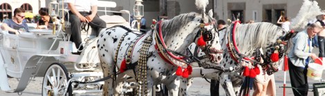 Hevosvaunut Krakovan vanhassa kaupungissa.